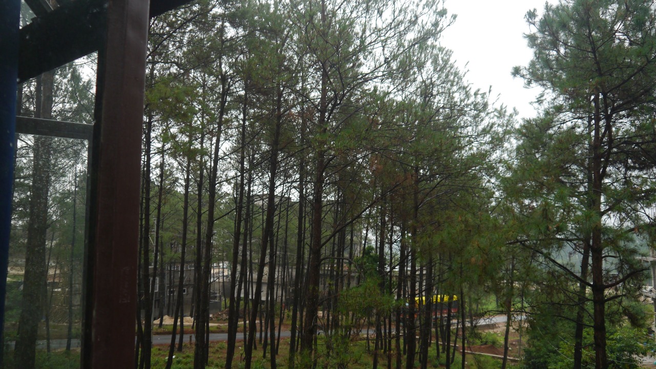 Photo of Patio Balcony in Shillong