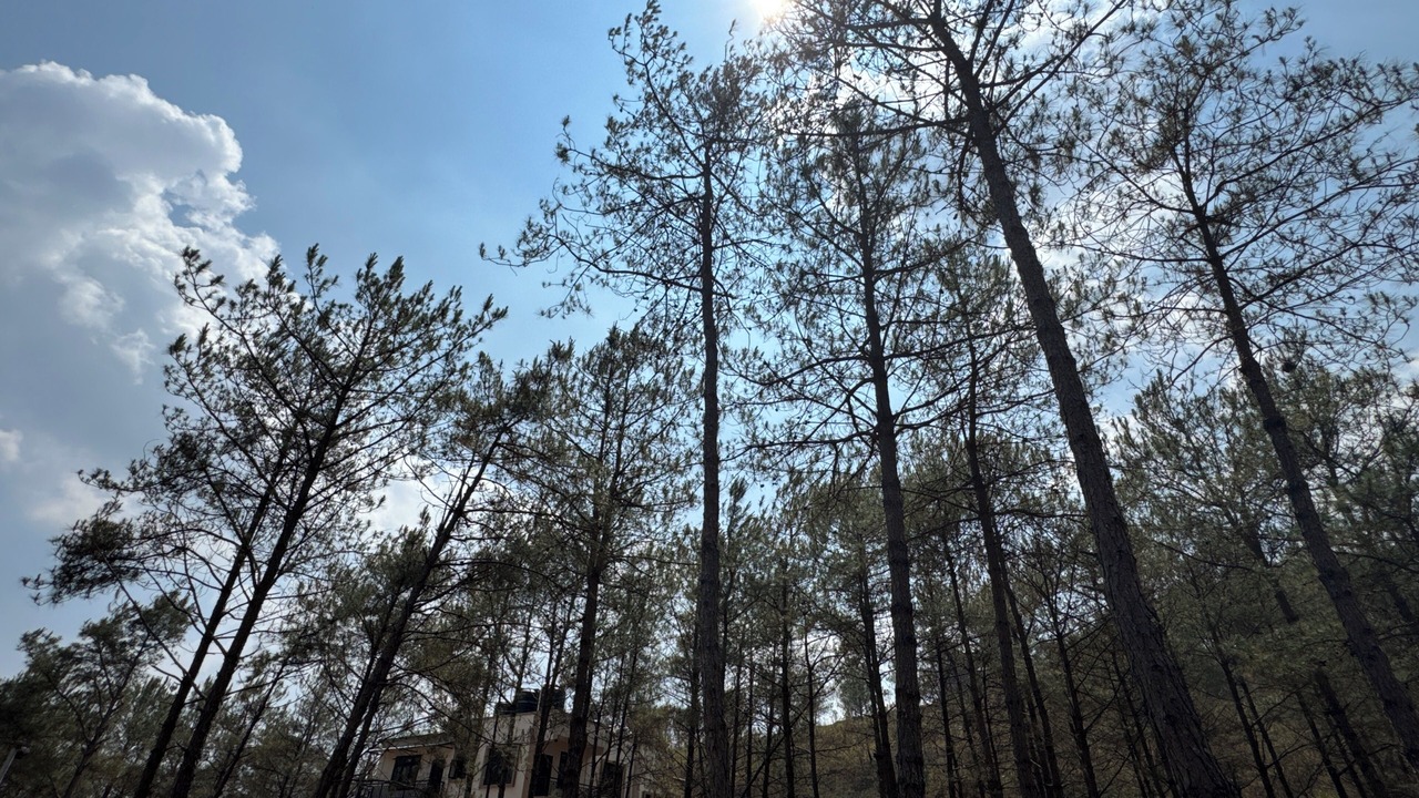 Photo of Outdoor in Shillong