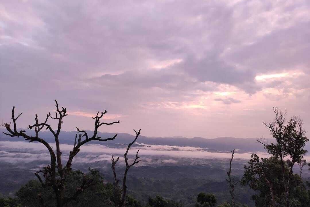 Photo of Outdoor in Sajek