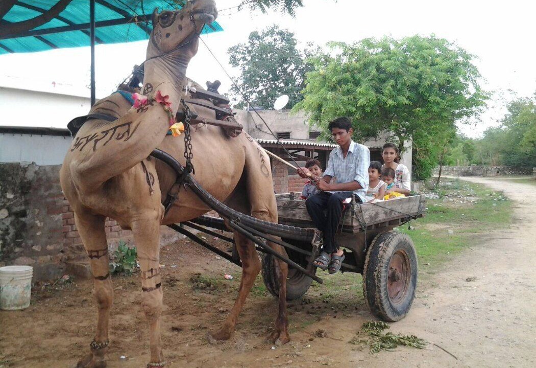 Photo of Others in Jaipur
