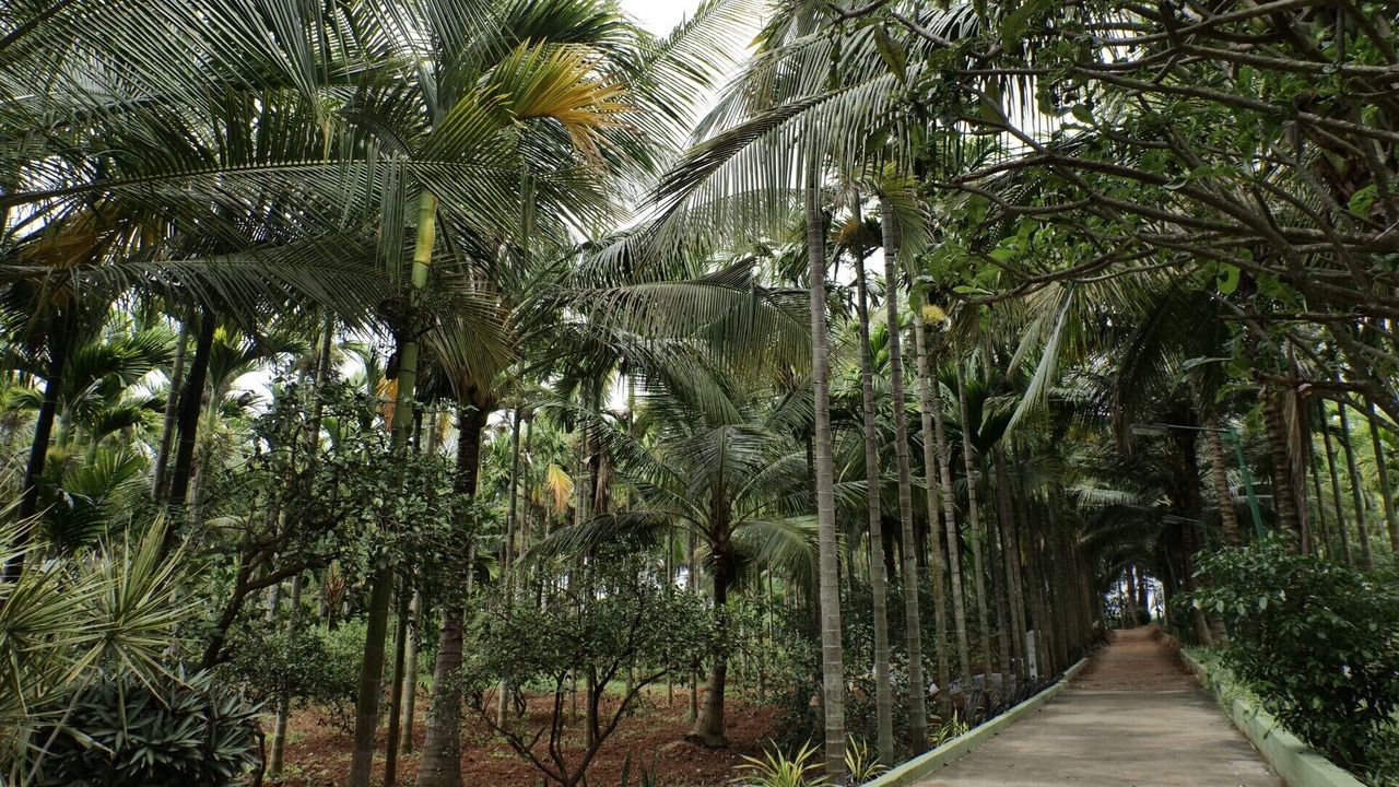 Photo of Outdoor in Narasapura