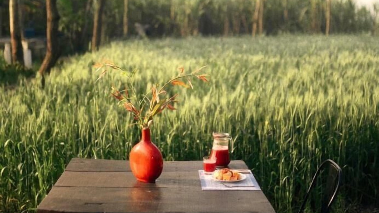 Photo of Outdoor in Kottli Sainian