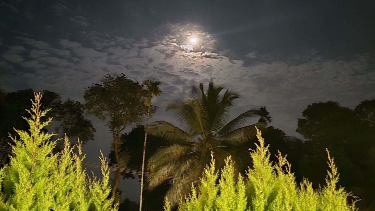 Photo of Outdoor in Virarajendrapet