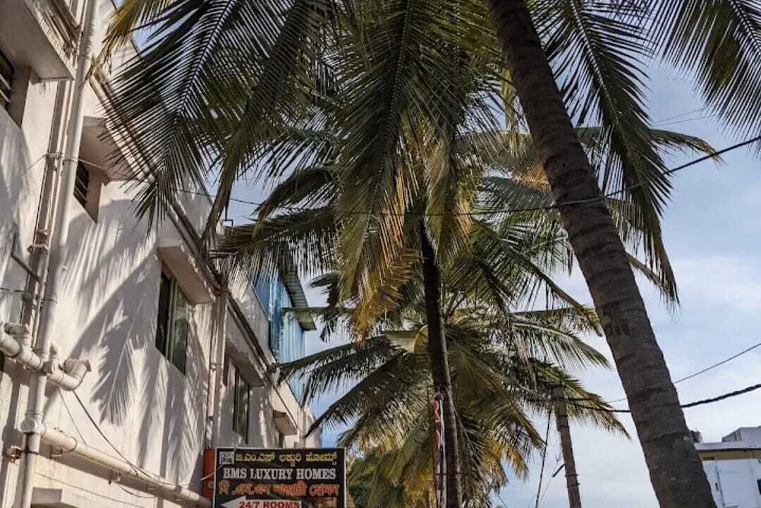 Photo of Outdoor in Bommasandra