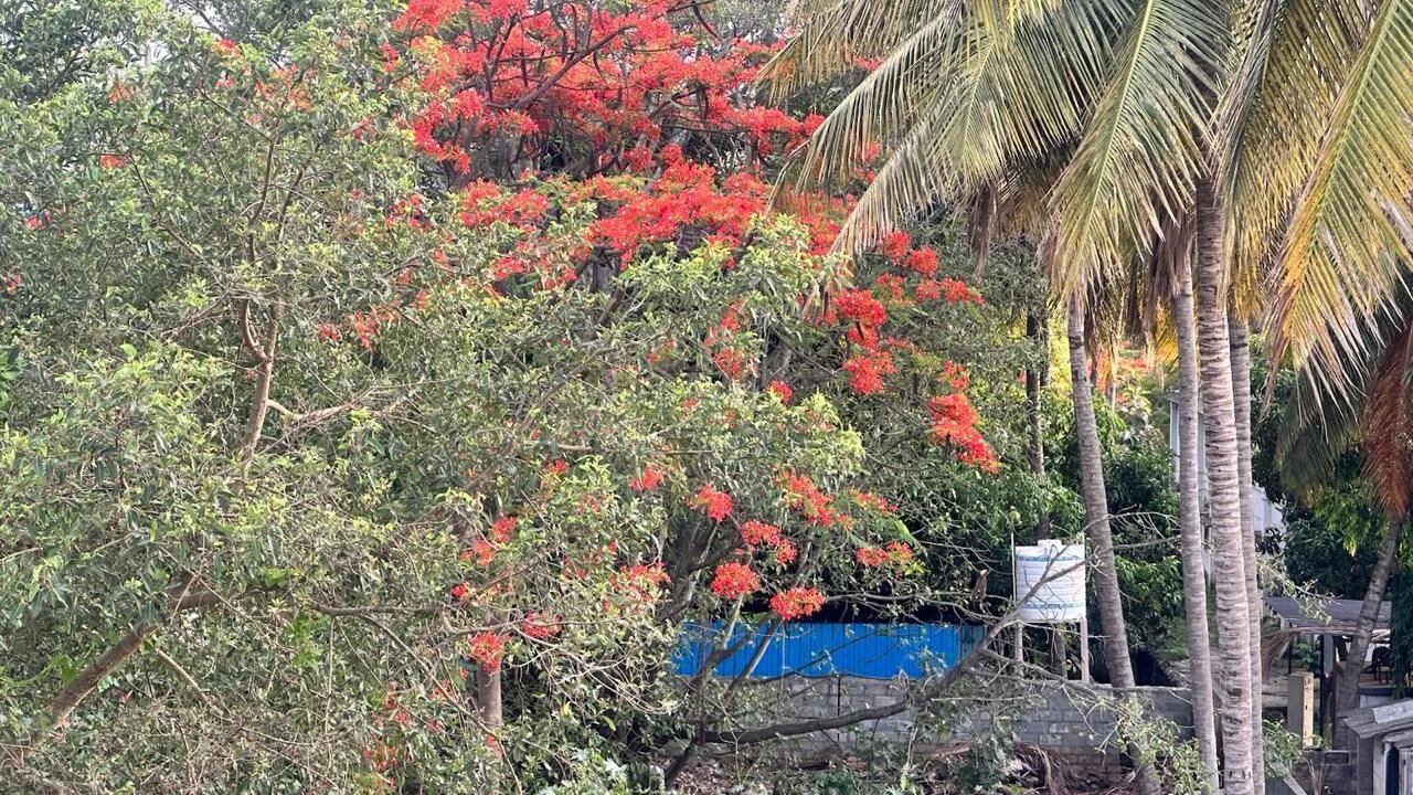 Photo of Outdoor in Bommasandra