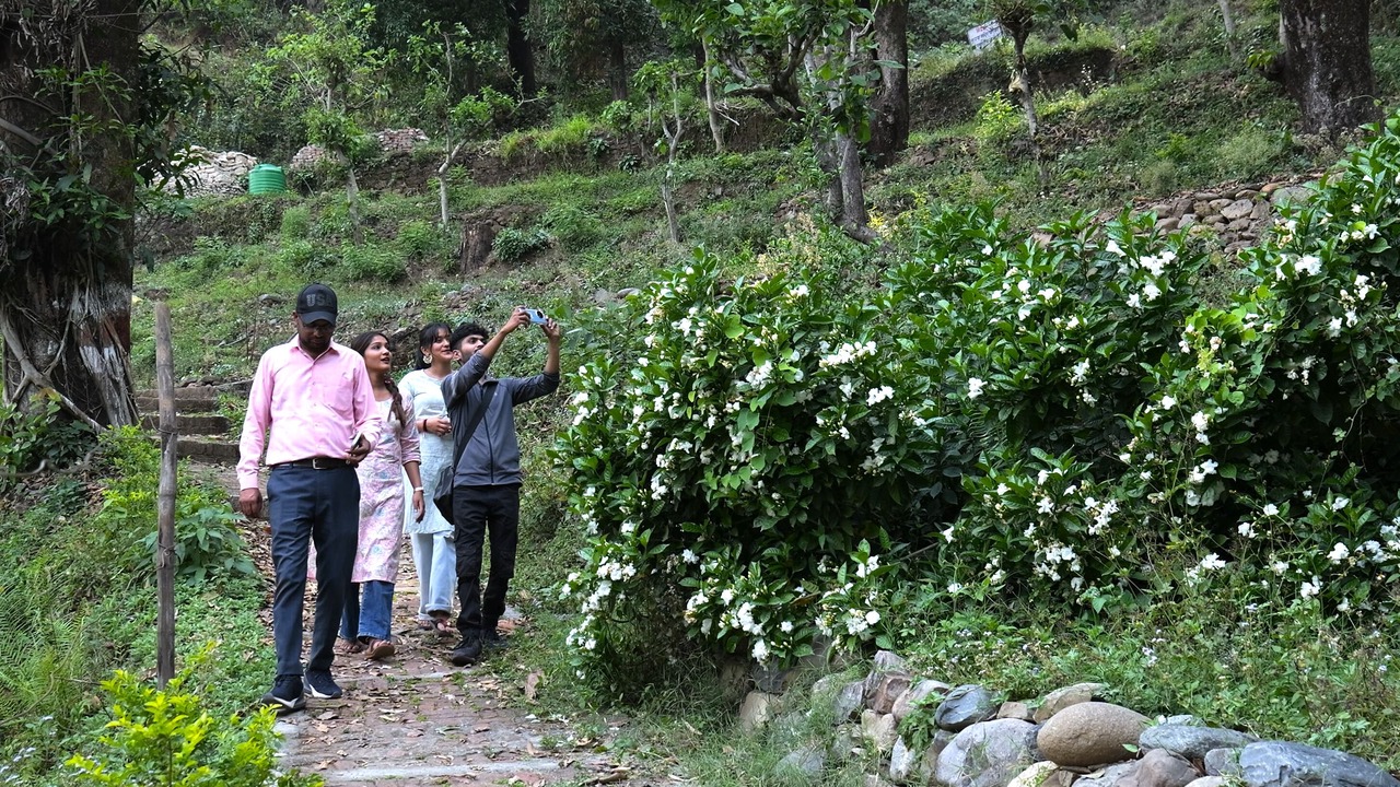 Photo of Outdoor in Bullawala