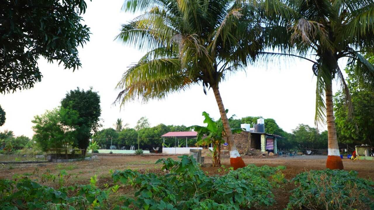 Photo of Outdoor in Maliya