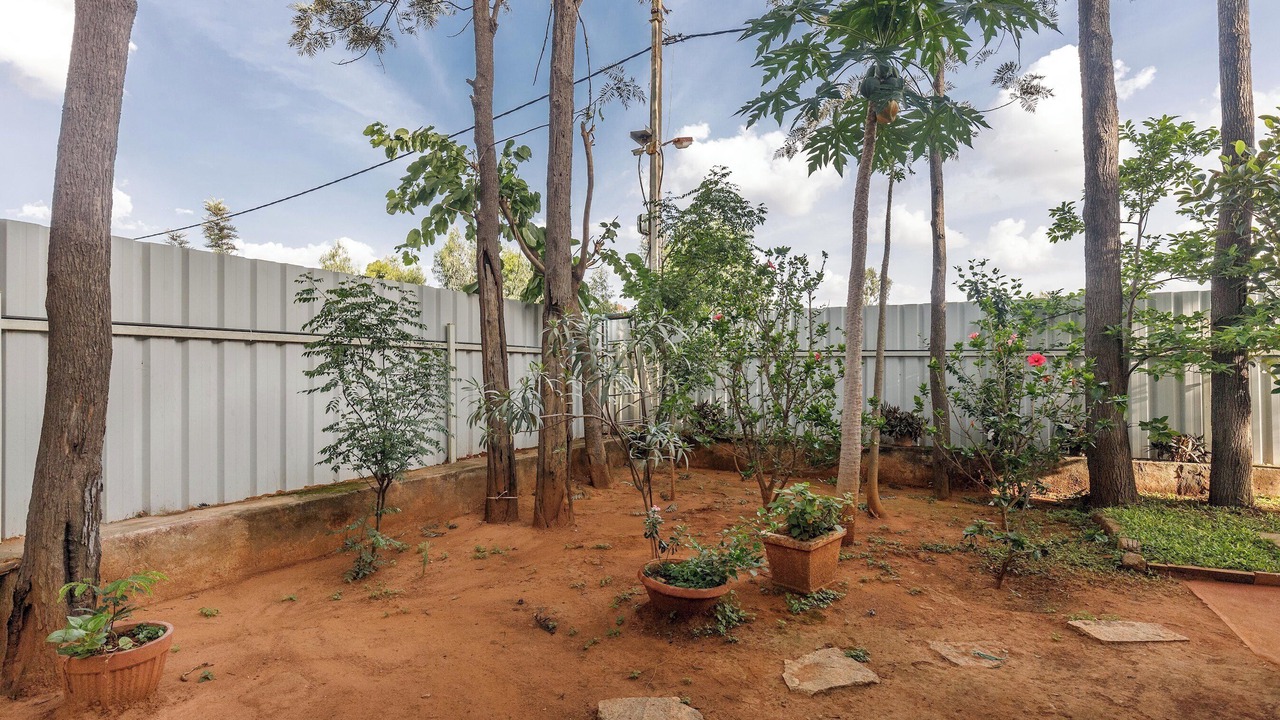 Photo of Others in Bengaluru