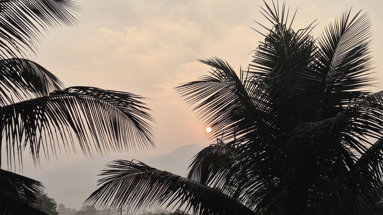 Photo of Outdoor in Paud