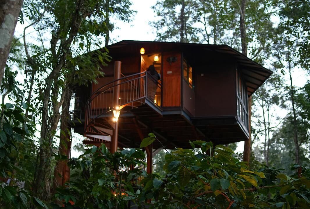 Photo of Patio Balcony in Kattikkulam