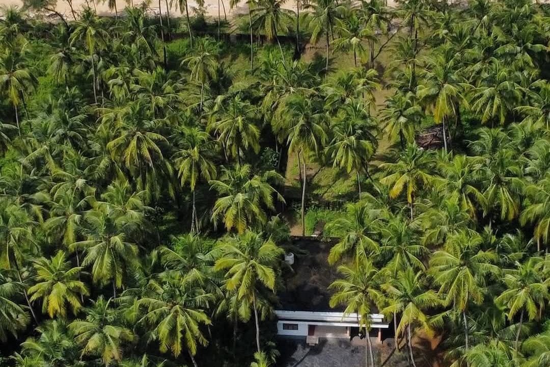 Photo of Outdoor in Hosdurg