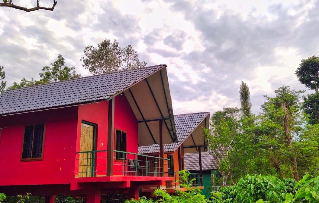 Photo of Outdoor in Kaimane