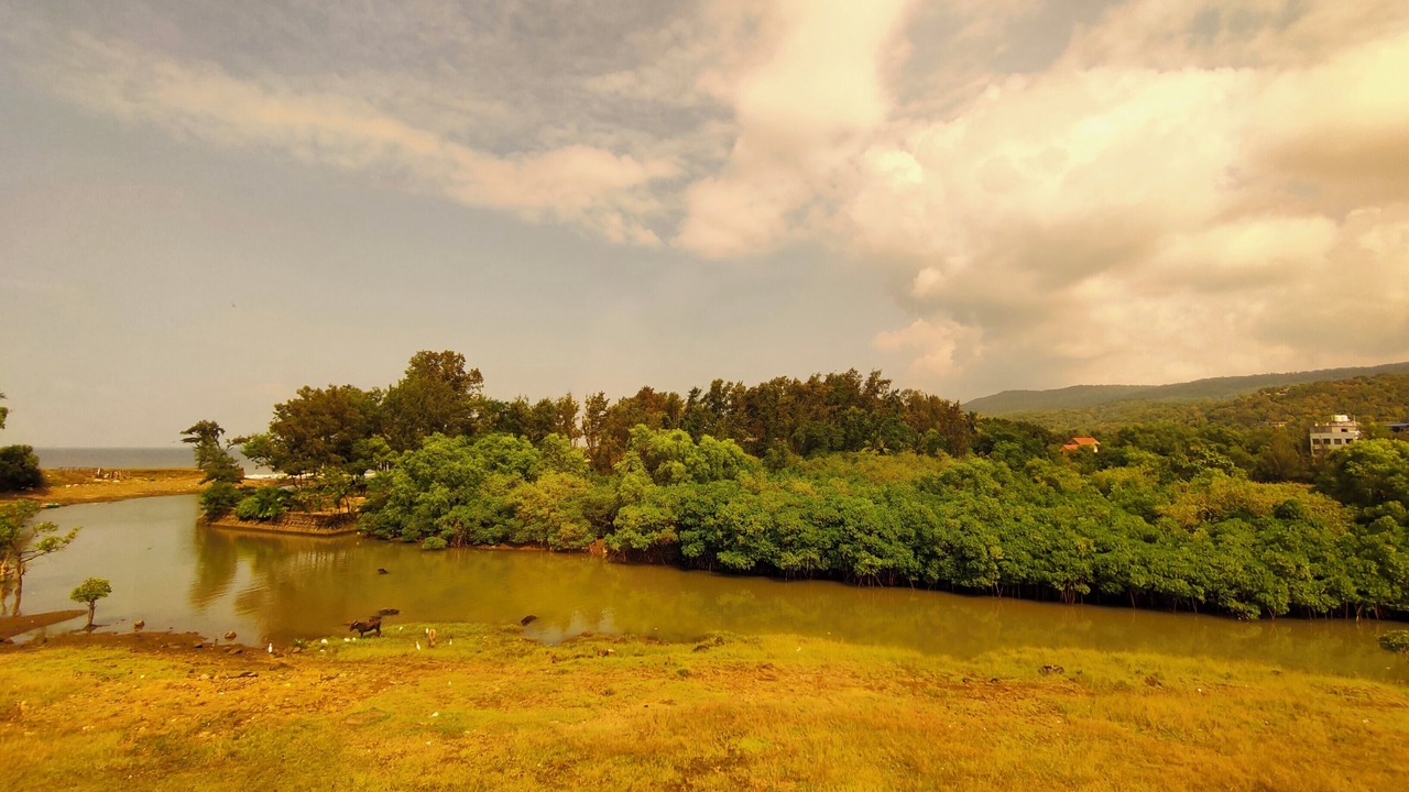 Photo of Outdoor in Murud