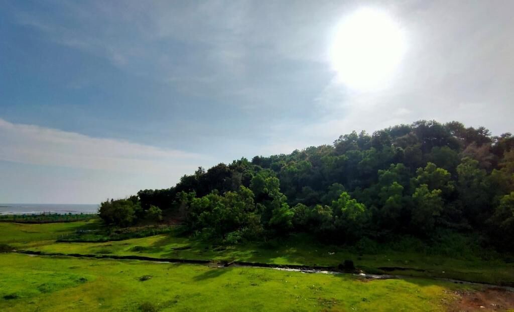 Photo of Outdoor in Murud