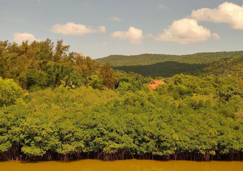 Photo of Outdoor in Murud