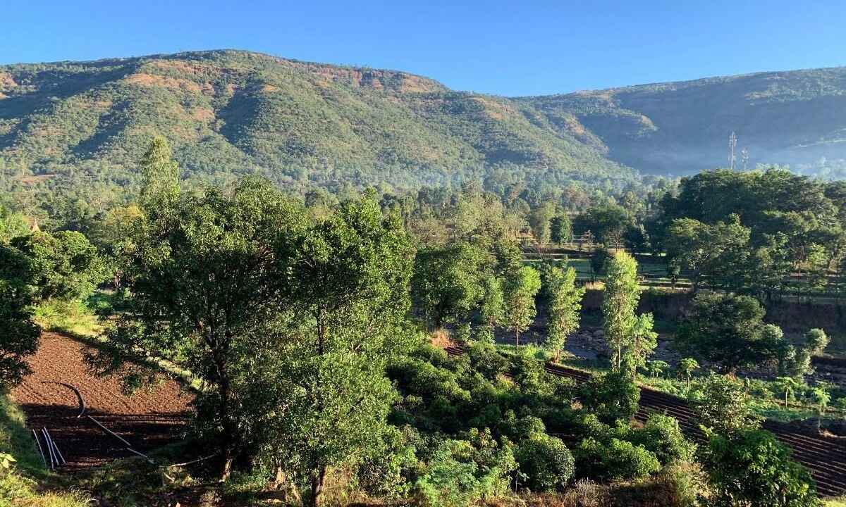 Photo of Outdoor in Medha