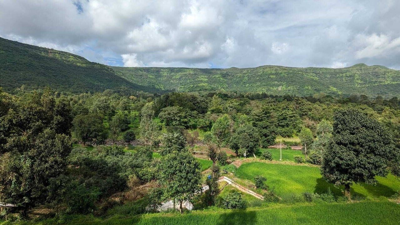 Photo of Outdoor in Medha