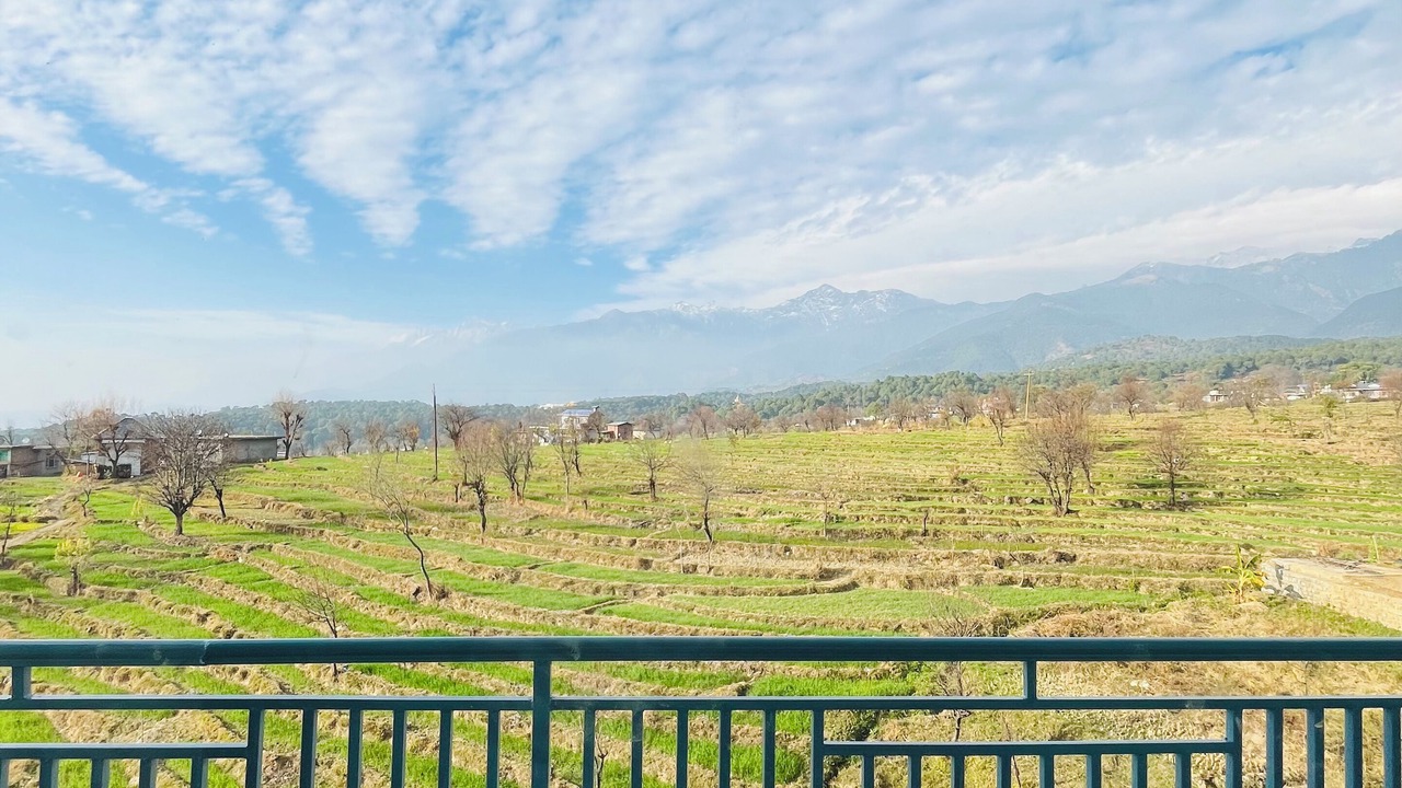 Photo of Patio Balcony in Suja