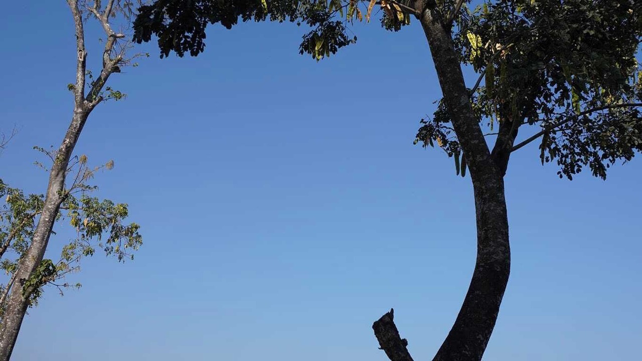 Photo of Outdoor in Sylhet