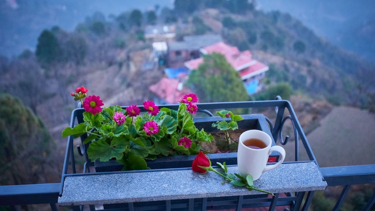 Photo of Bedroom in Kumarhatti