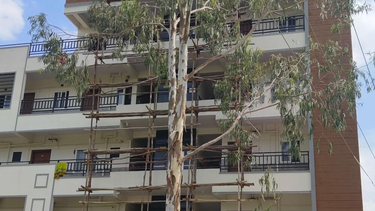 Photo of Outdoor in Bommasandra