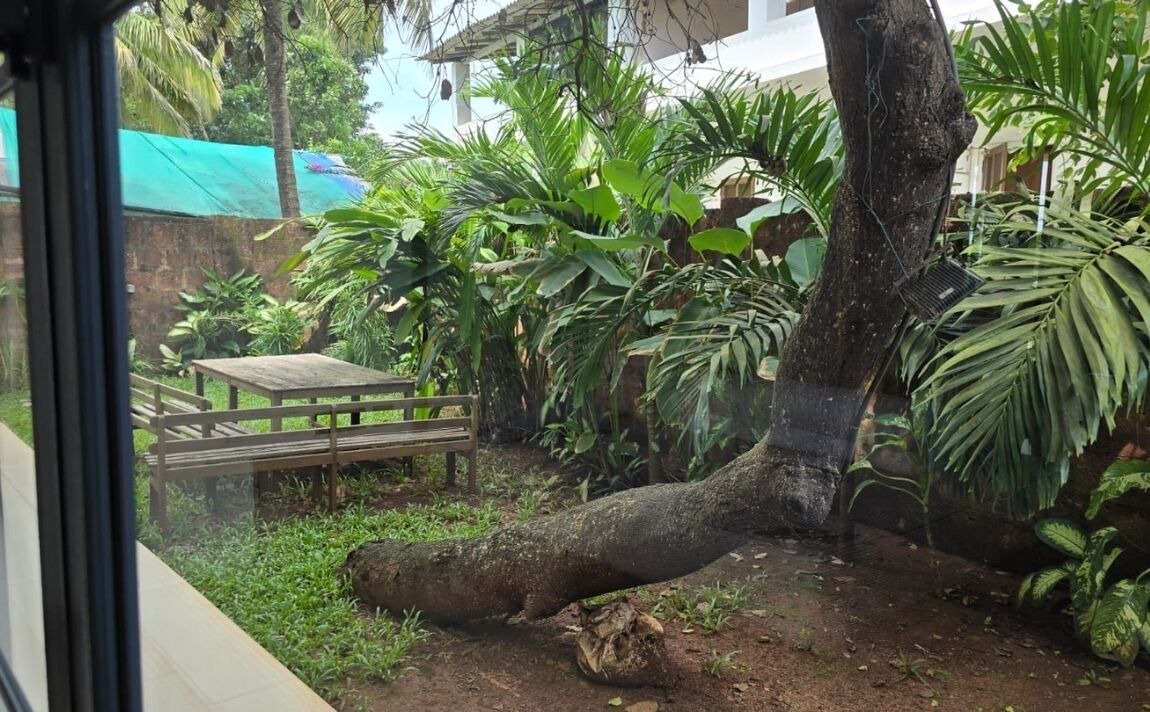 Photo of Patio Balcony in Ashvem