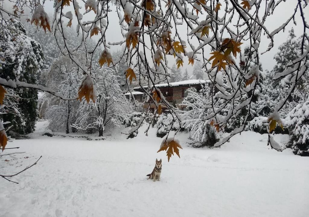 Photo of Outdoor in Old Manali