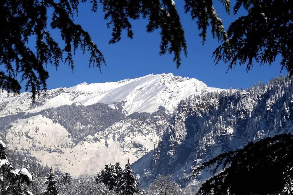 Photo of Others in Old Manali