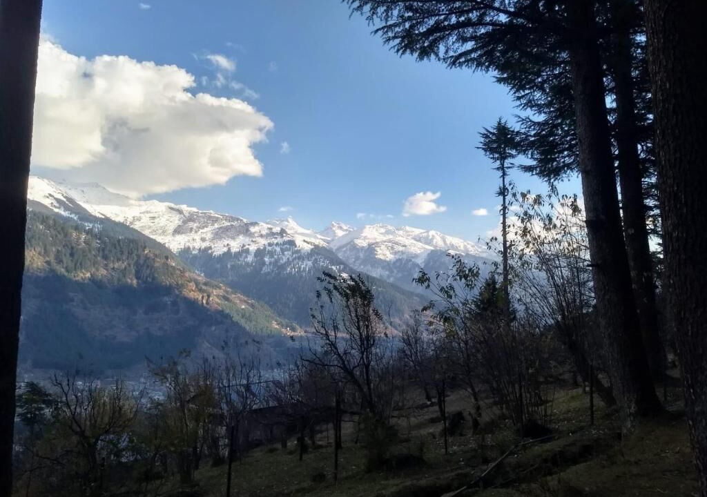 Photo of Others in Old Manali