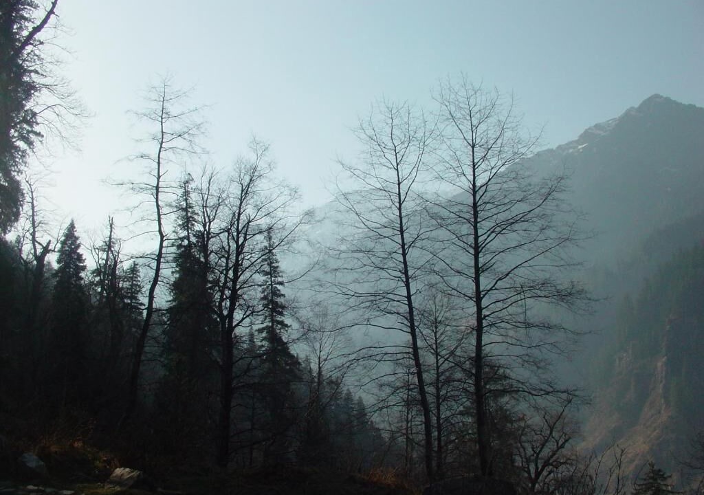 Photo of Others in Old Manali