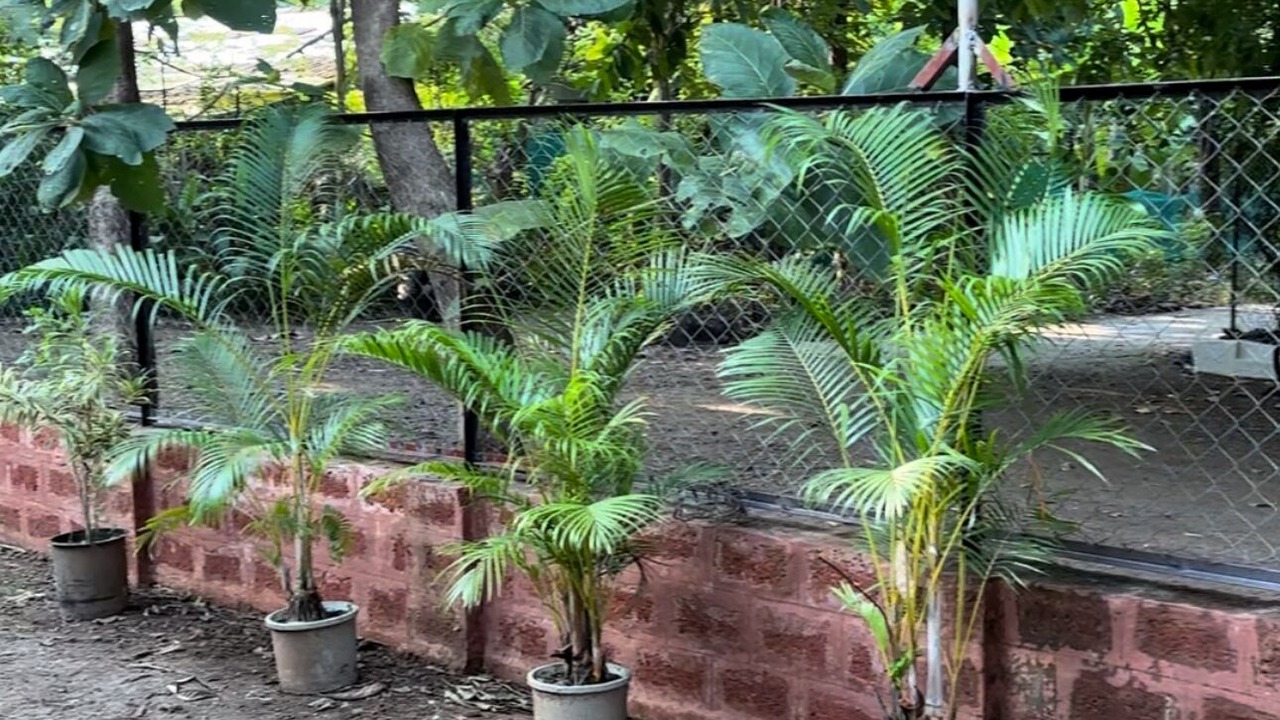 Photo of Outdoor in Kashid