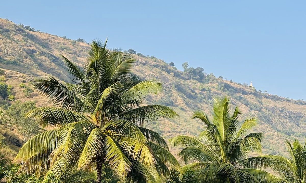 Photo of Outdoor in Wai
