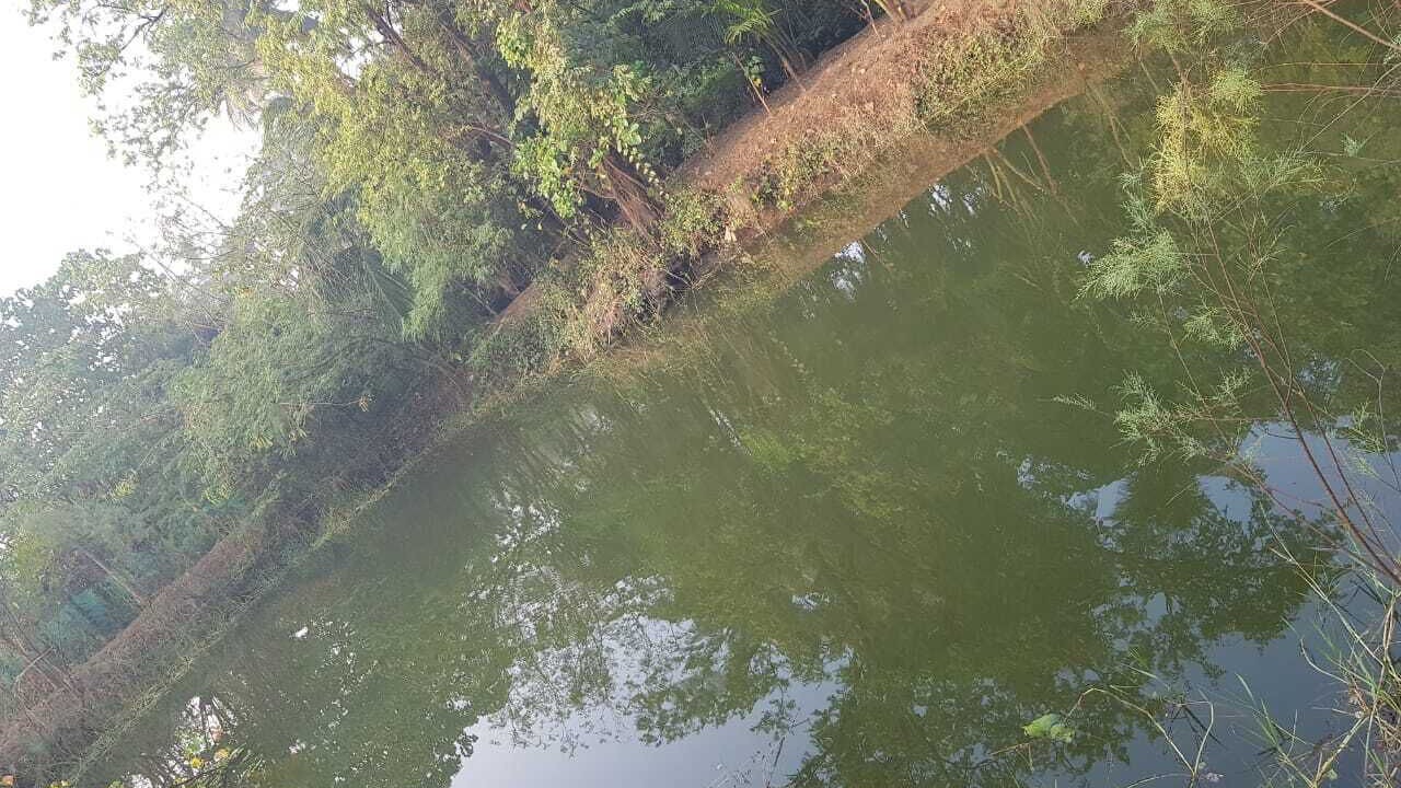 Photo of Others in Alibaug