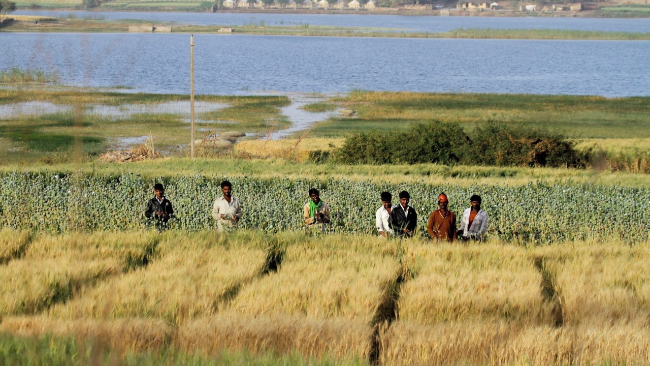 Photo of Others in Chittorgarh
