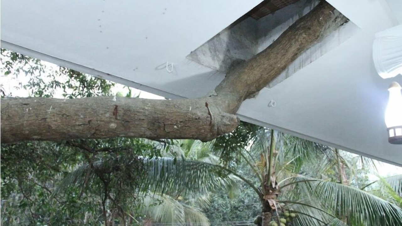 Photo of Outdoor in Todupulai