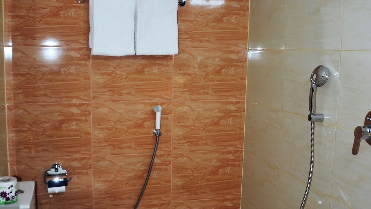 Photo of Bathroom in Dhanmondi