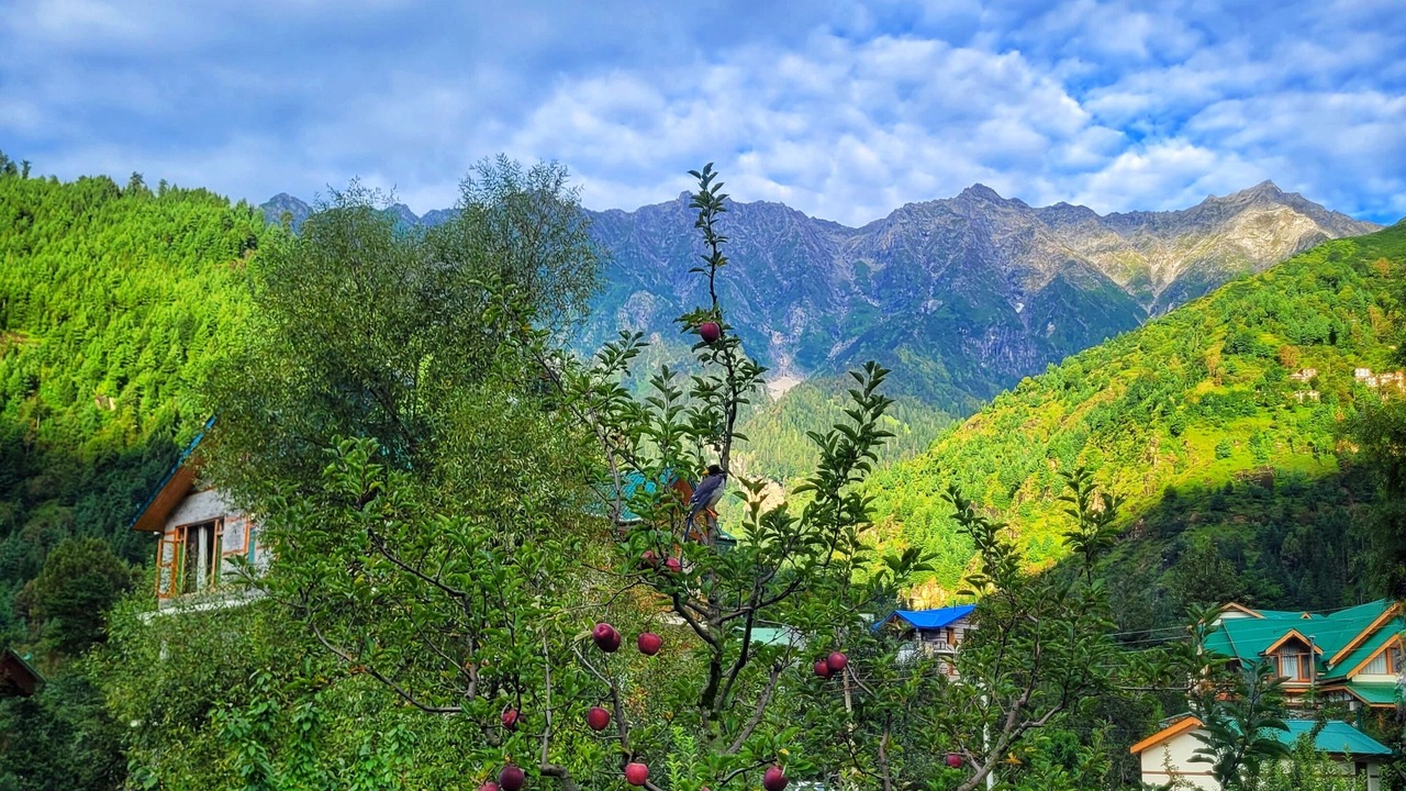 Photo of Bedroom in Manali