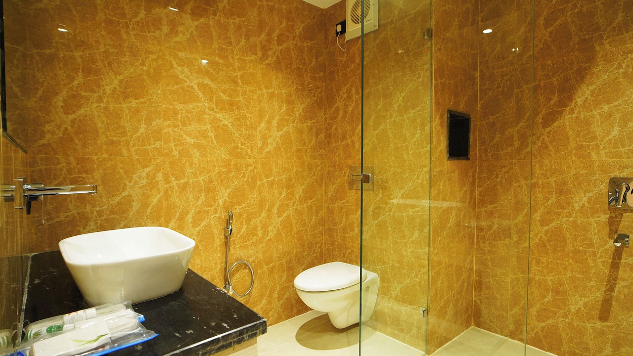 Photo of Bathroom in Asansol