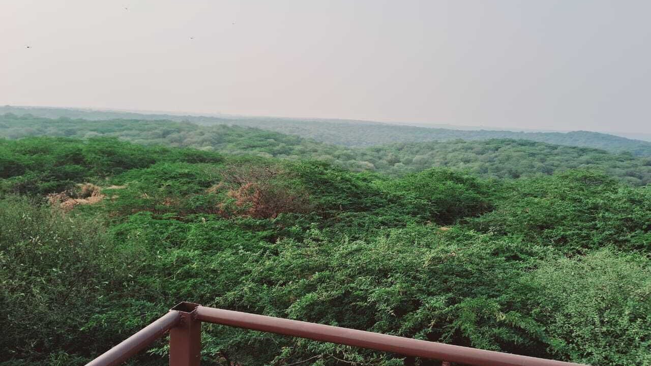 Photo of Others in Gurugram