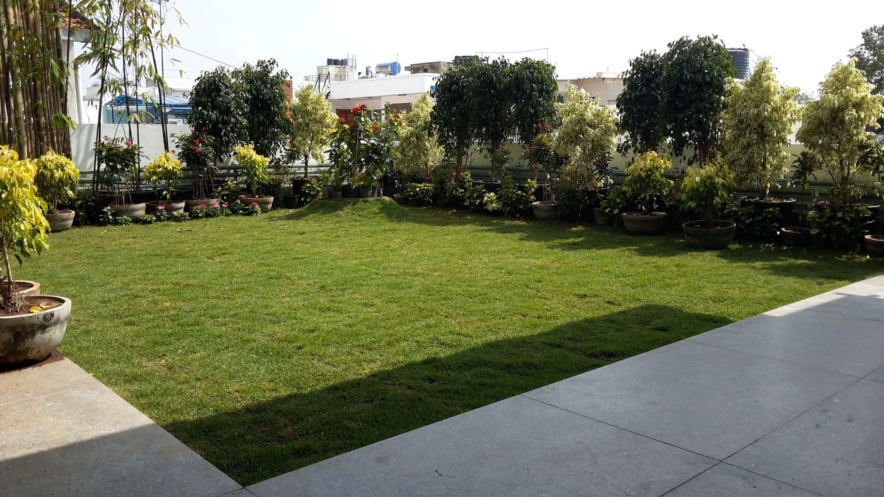 Photo of Outdoor in Stage 1