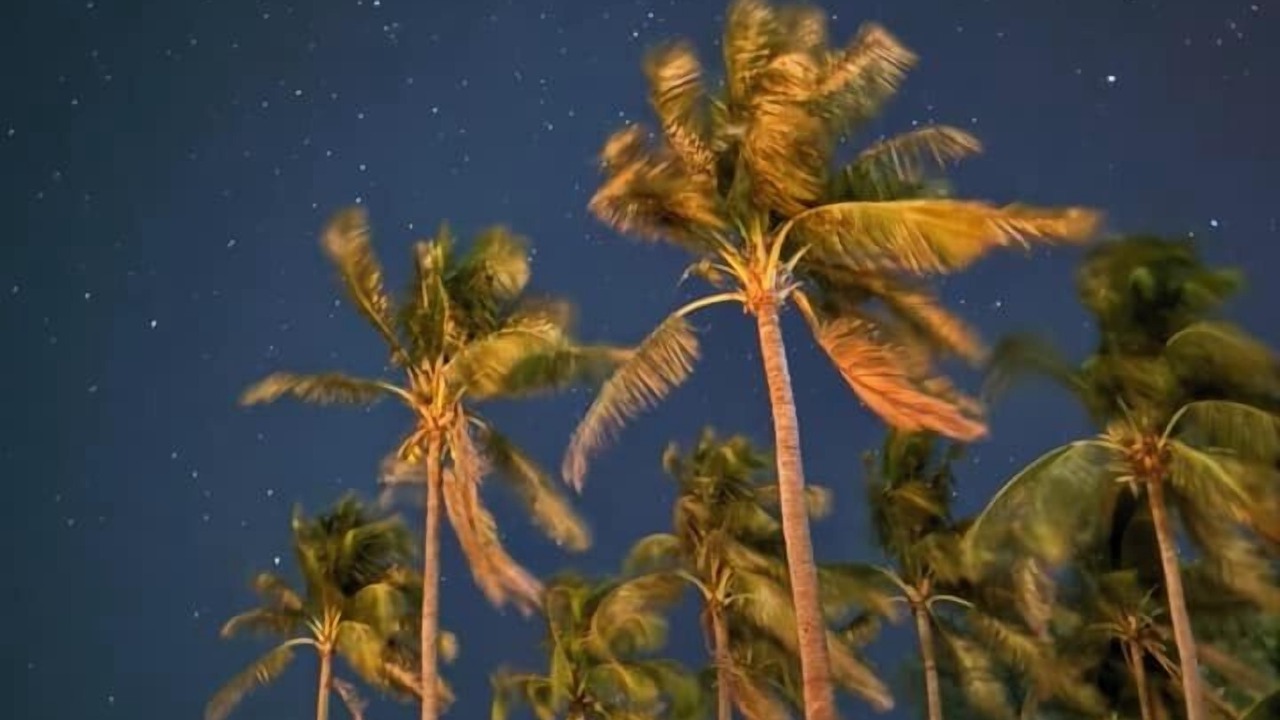 Photo of Outdoor in Saint Martin's Island