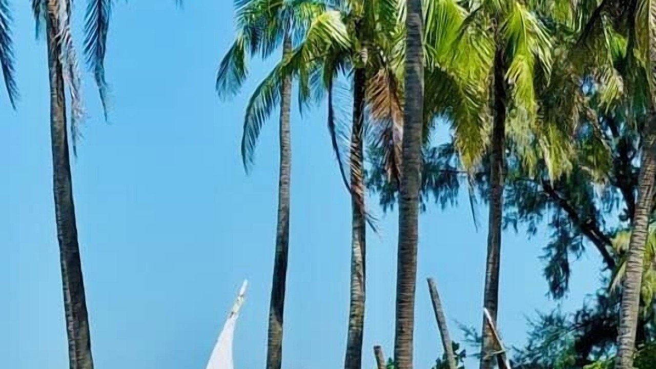 Photo of Outdoor in Saint Martin's Island