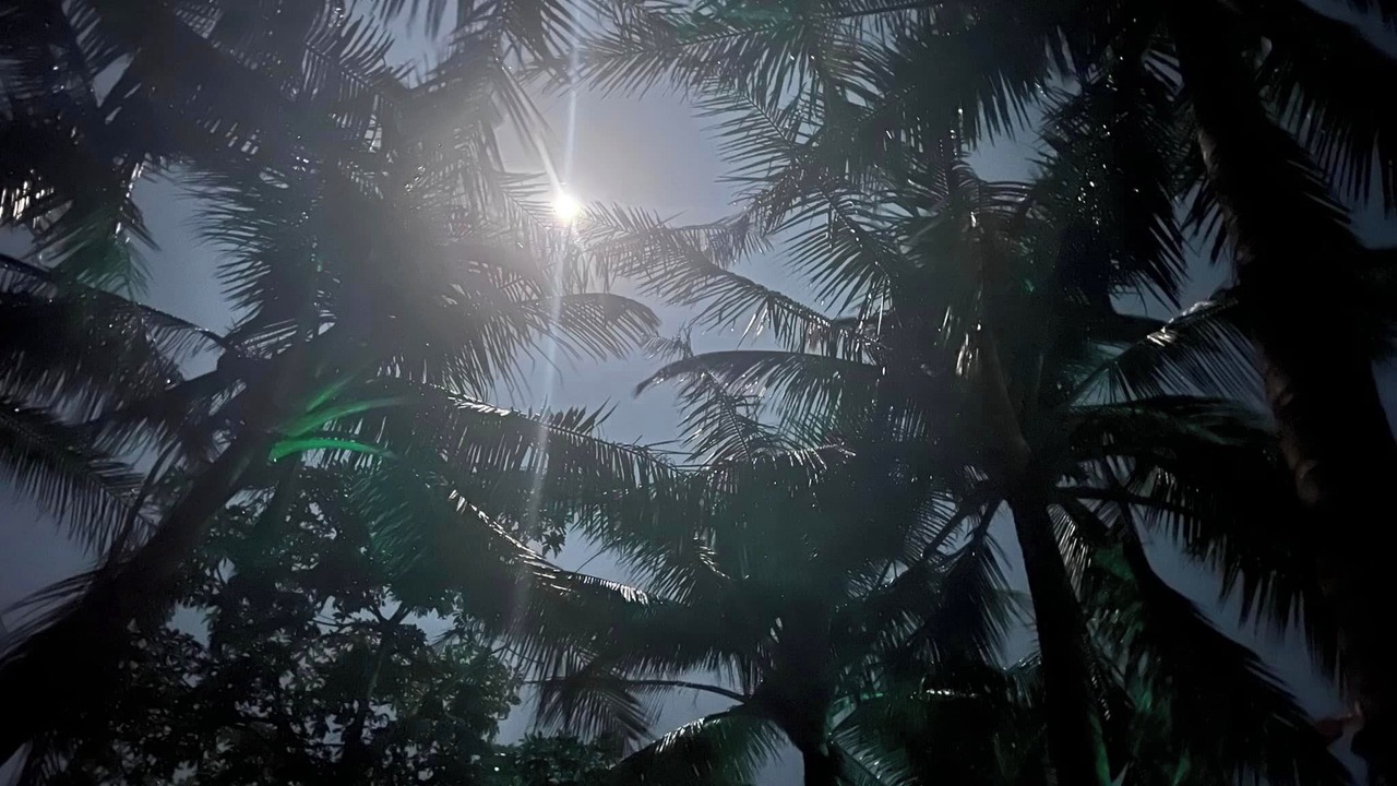 Photo of Outdoor in Saint Martin's Island