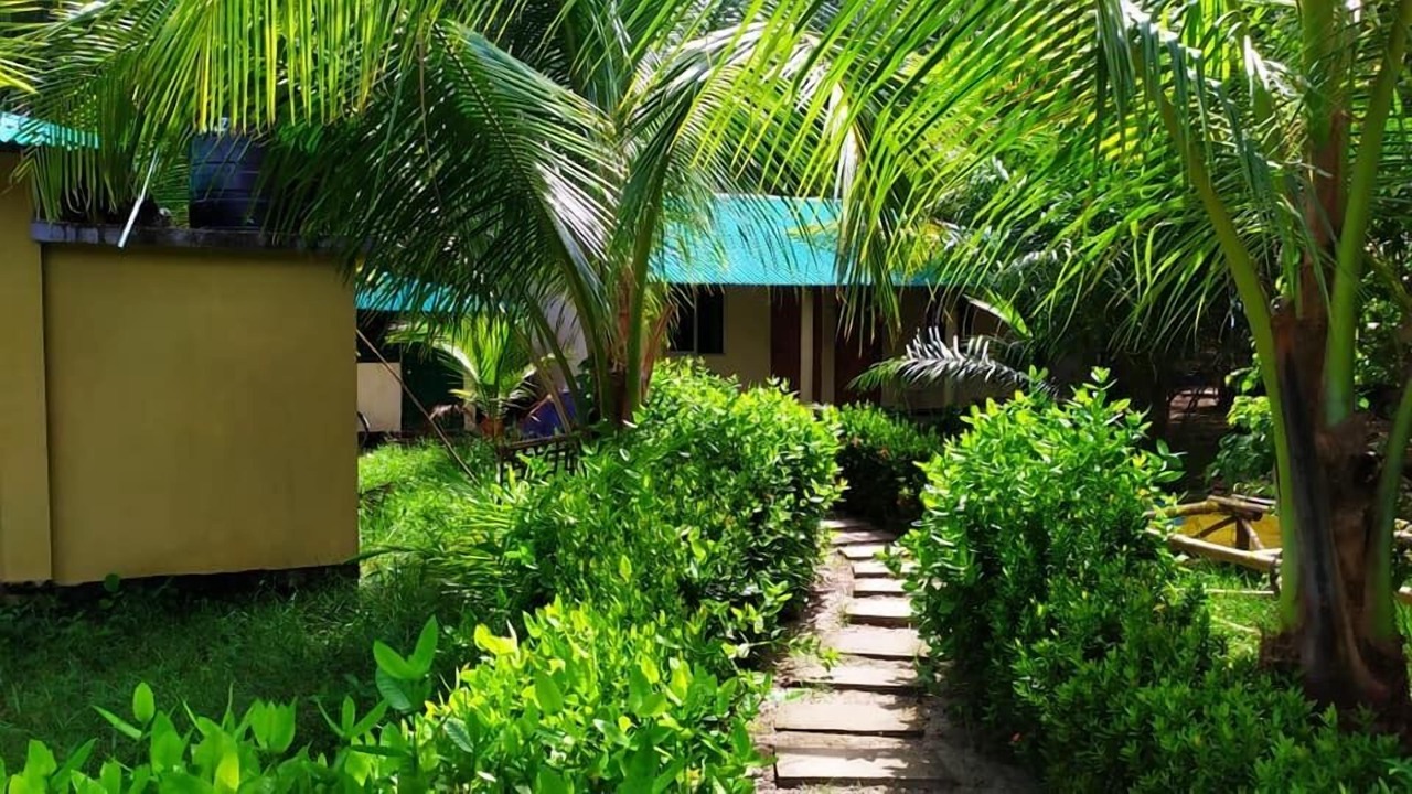 Photo of Outdoor in Saint Martin's Island