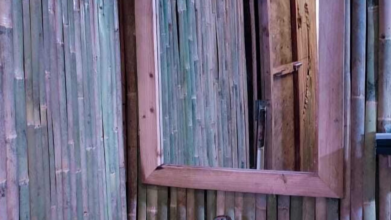 Photo of Others in Saint Martin's Island