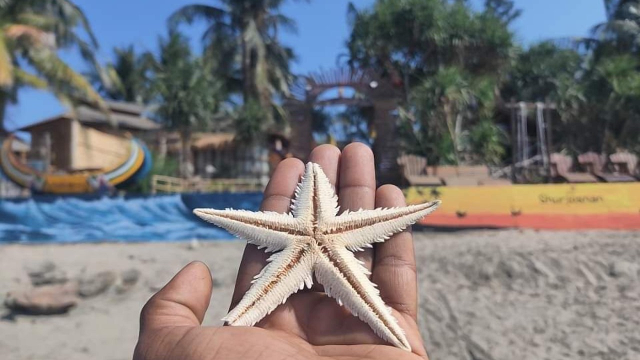 Photo of Others in Saint Martin's Island