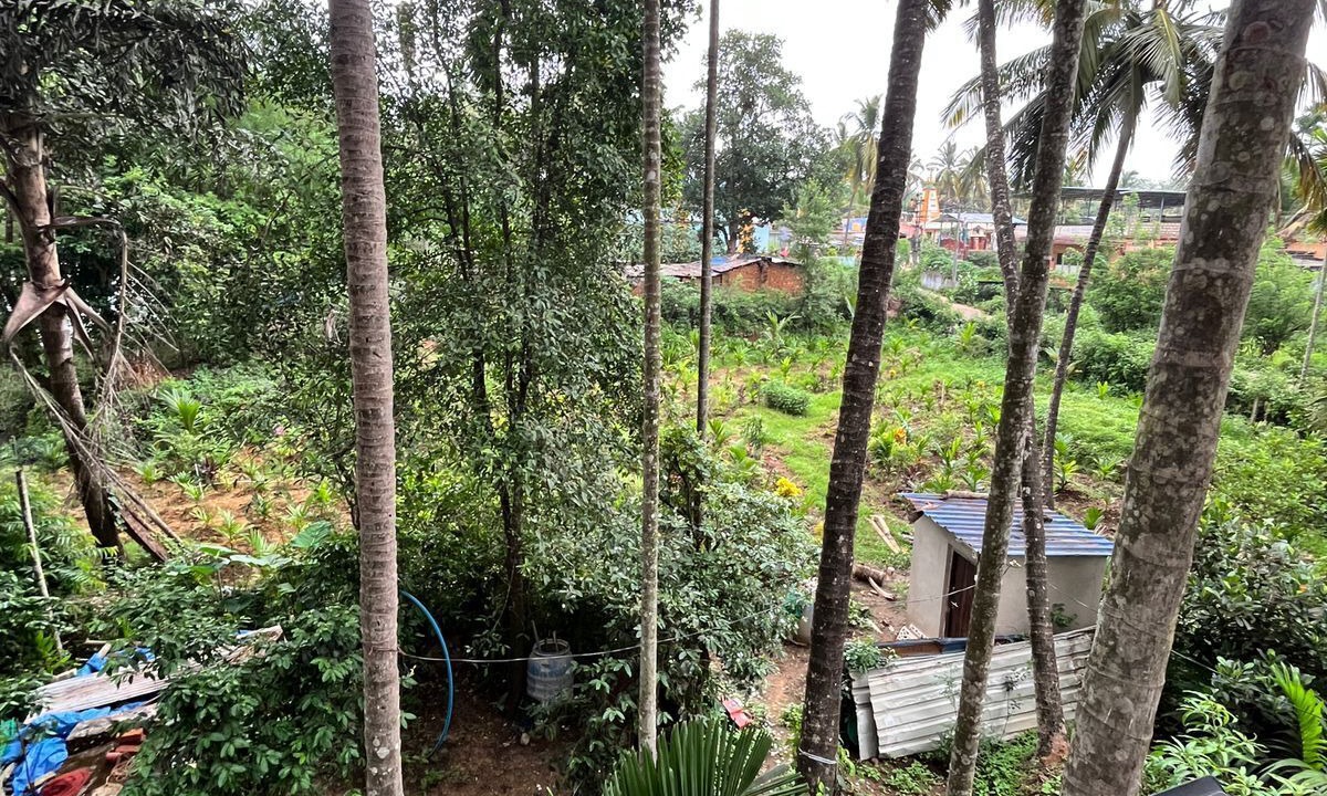 Photo of Outdoor in Dandeli