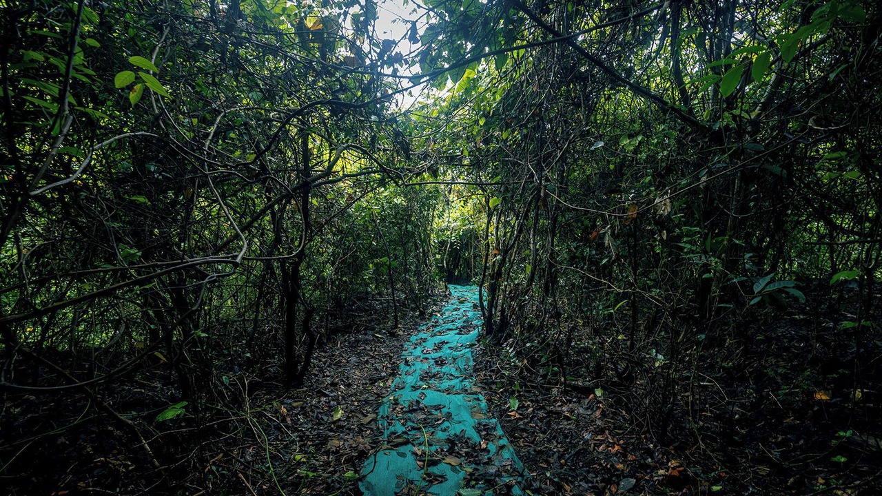 Photo of Outdoor in Bovikanam