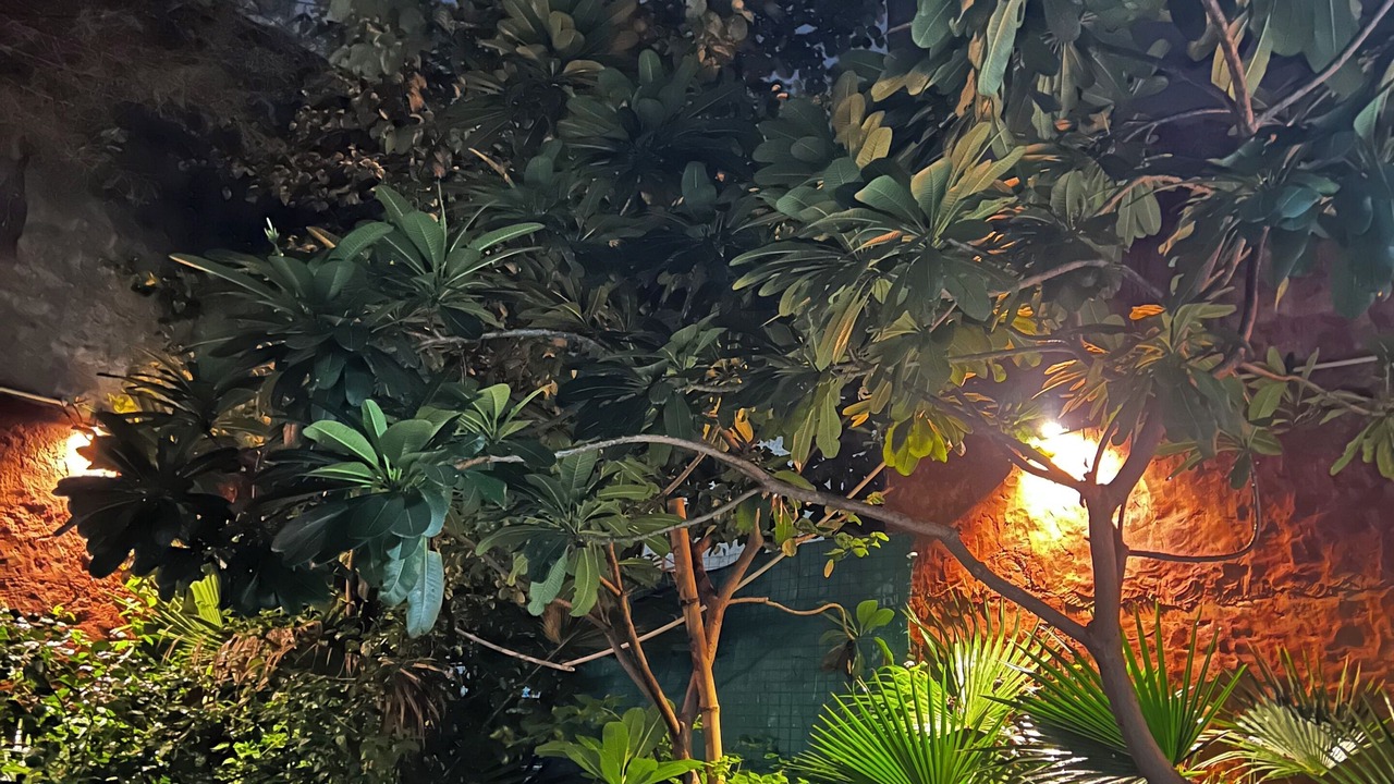 Photo of Outdoor in Amer