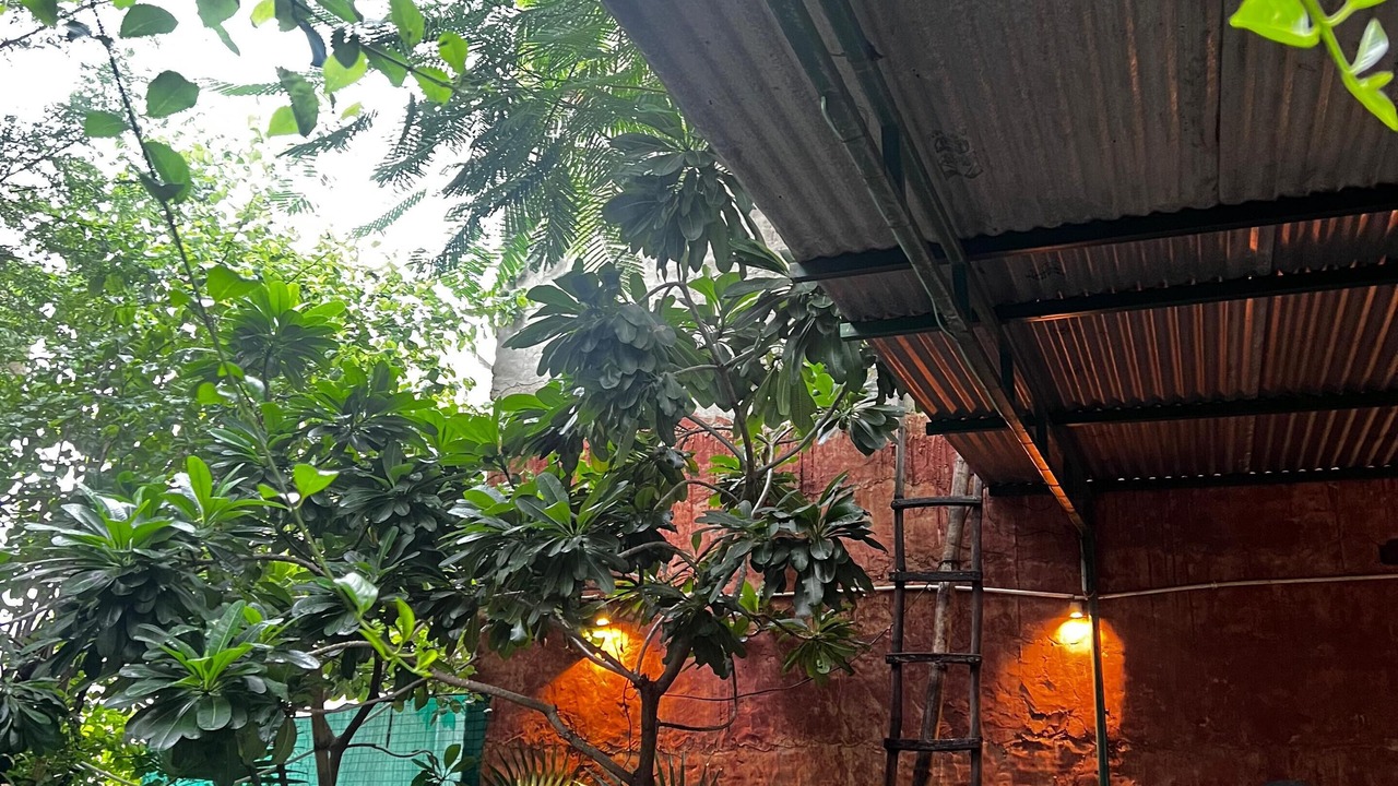 Photo of Outdoor in Amer